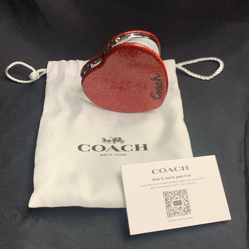 Coach mirror